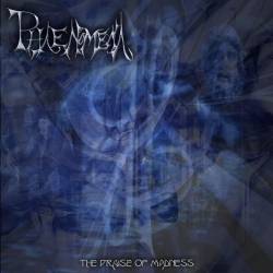 The Praise Of Madness